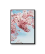 Nature Frame – Bild 2