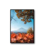 Nature Frame – Bild 3